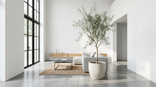 The Best Indoor Trees for a Minimalist, High-Ceiling Room