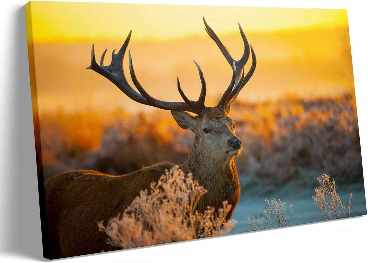 Personalized Custom Canvas Prints: 20L x 30W Photo On Canvas Transform Your Photos into Stunning Framed Wall Art Digitally Printed (20L x 30W, Framed)