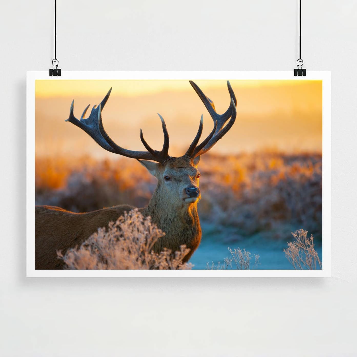 Personalized Custom Poster Prints: 20L x 30W Photo On Canvas Transform Your Photos into Stunning Unframed Wall Art Digitally Printed (20L x 30W, Unframed)