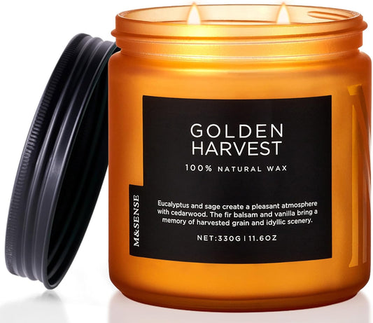 M&SENSE Golden Eucalyptus & Sage Scented Candle, 11.6oz Natural Soy Wax 70 Hours Long Lasting Highly Scented 2 Cotton Wick Candle Gifts for Birthday Holiday, Decorative & Home