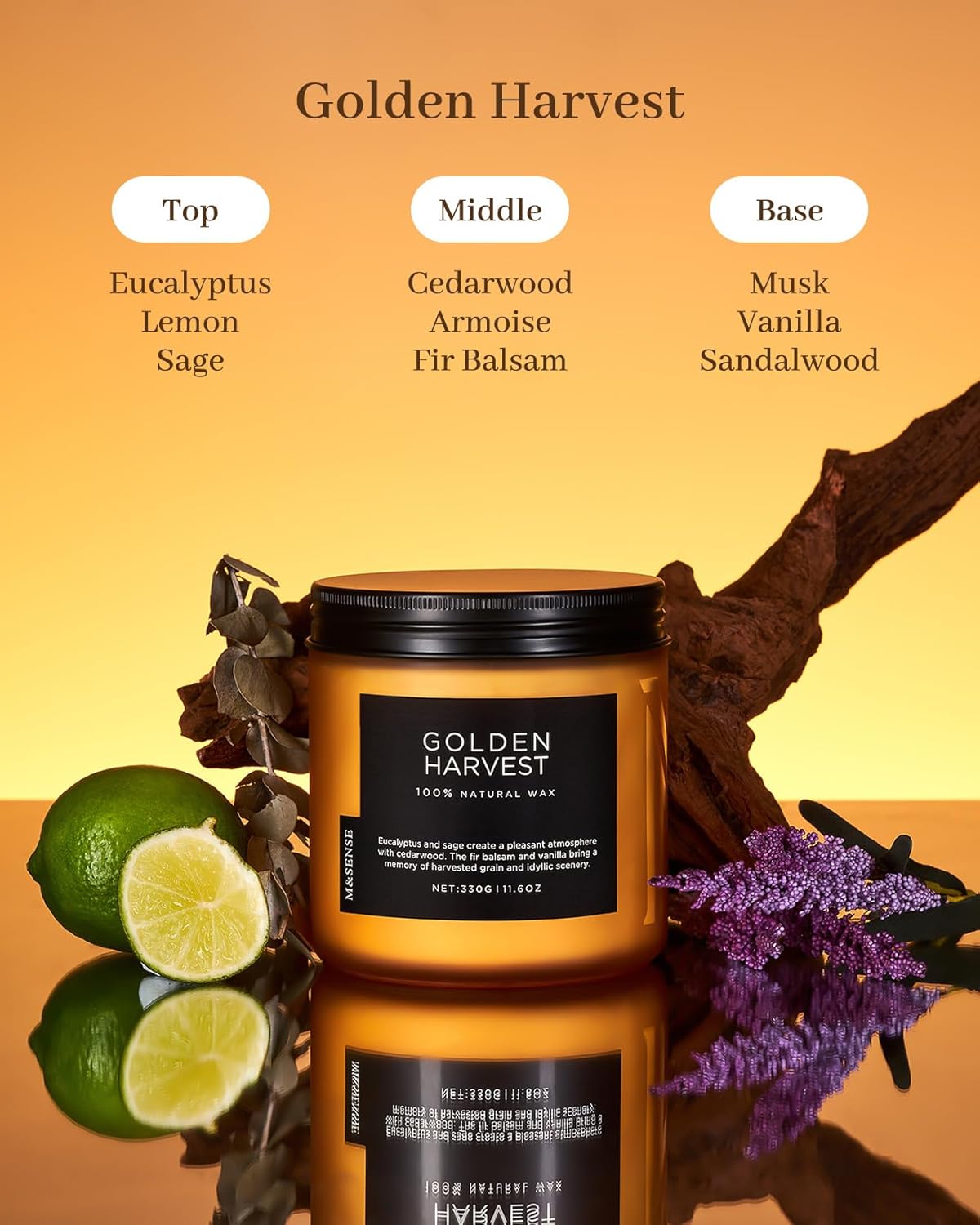 M&SENSE Golden Eucalyptus & Sage Scented Candle, 11.6oz Natural Soy Wax 70 Hours Long Lasting Highly Scented 2 Cotton Wick Candle Gifts for Birthday Holiday, Decorative & Home