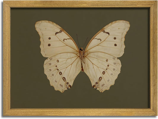 Wood Framed White Butterfly Wall Art, Vintage Butterfly Oil Paintings, Dark Moody Insect Canvas Prints, Boho Sage Green Wall Decor, for Bedroom Kitchen Bathroom Cottagecore Room Decor - 16x24 Inch
