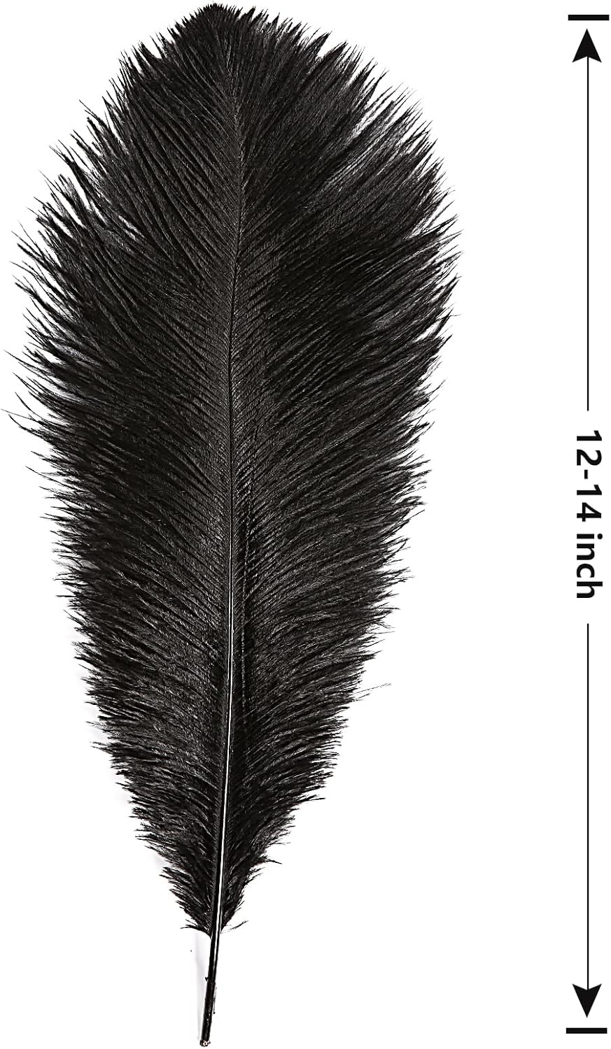 THARAHT Black Ostrich Feathers 12pcs Large Natural Bulk 12-14Inch 30cm-35cm for Wedding Party Centerpieces Halloween and Home Decoration Feathers
