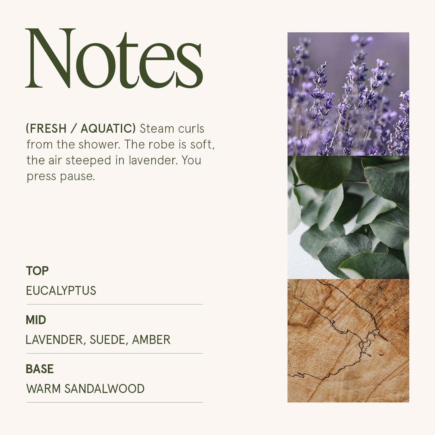 LA JOLIE MUSE Lavender Suede Candle – Eucalyptus, Lavender & Sandalwood 19 oz Large Wooden Wick Candle | Natural Soy Wax | 90 Hours Clean Burn | Aromatherapy Candle for Relaxation