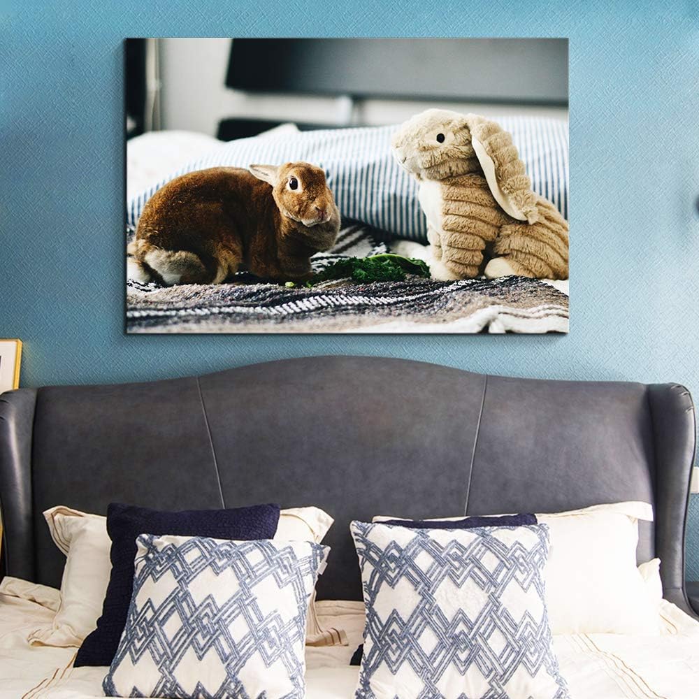 NWT Custom Canvas Prints with Your Photos for Pet/Animal, Personalized Canvas Pictures for Wall to Print Framed 16x24 inches