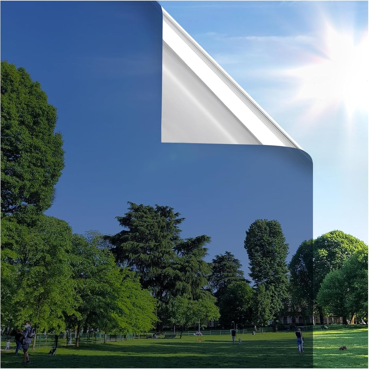 rabbitgoo Window Privacy Film One Way Window Tint for Home, Removable Reflective Heat Sun Blocking Anti UV Glass Door Covering, Mirror Tinting Film House Office, 23.6 in X 9.8 Feet, Blue Silver
