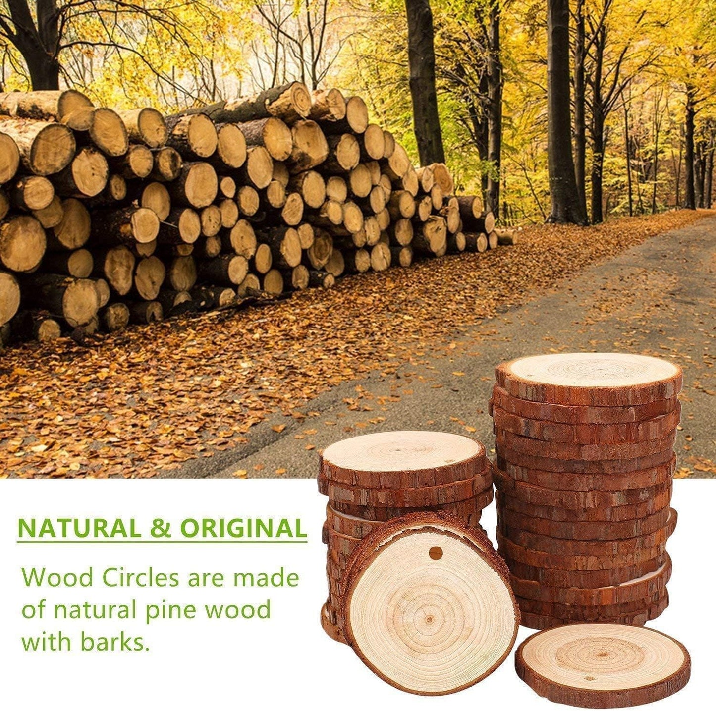 Natural Wood Slices TICIOSH Craft Unfinished Wood kit Predrilled with Hole Wooden Circles for DIY Crafts Wedding Decorations Christmas Ornaments Arts Wood Slices (50 Pcs 2.0-2.4 inches)