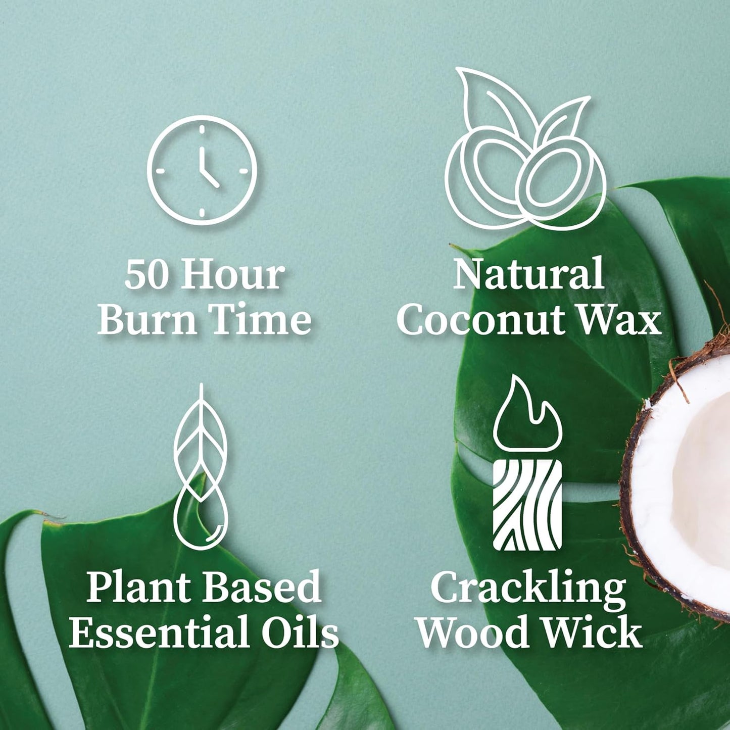 Hemlock Park Wood Wick Candle Handcrafted with Natural Coconut Wax and Essential Oils (Amber & Gold 7.2 oz, Foxtail Fir)