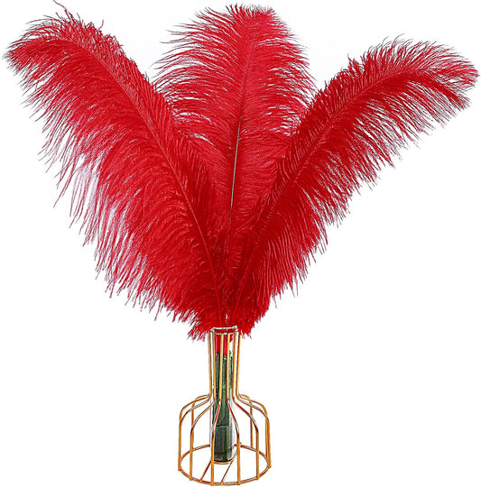 THARAHT Red Ostrich Feathers 12pcs Large Natural Bulk 14-16Inch 35cm-40cm for Wedding Party Centerpieces Halloween and Home Decoration Feathers