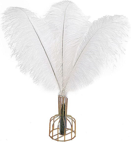 THARAHT 12pcs White Ostrich Feathers Natural Bulk 20-22Inch 50cm-55cm for Wedding Party Centerpieces Easter Gatsby and Home Decorate Ostrich Feathers