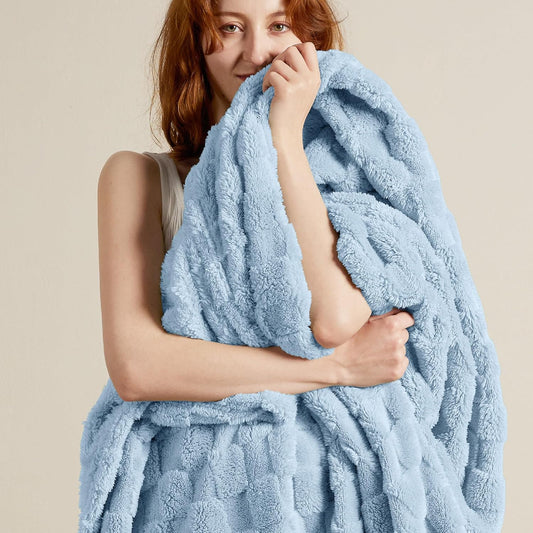 Bedsure GentleSoft Twin Blanket for Bed Light Blue - Super Soft Cozy Blankets for Women Men Girls, Cute Fuzzy Fleece Throws for Bedroom Couch, 60x80 Inches